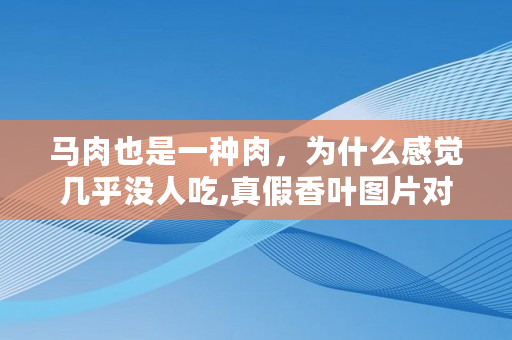 马肉也是一种肉，为什么感觉几乎没人吃,真假香叶图片对比