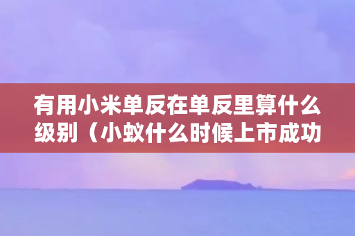 有用小米单反在单反里算什么级别（小蚁什么时候上市成功）