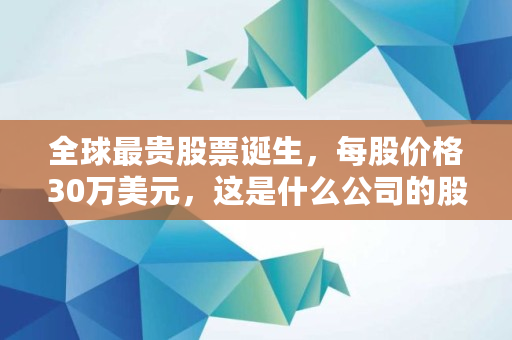 全球最贵股票诞生，每股价格30万美元，这是什么公司的股票,a股全球唯一股票排名