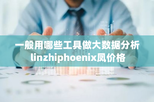 一般用哪些工具做大数据分析 linzhiphoenix凤价格