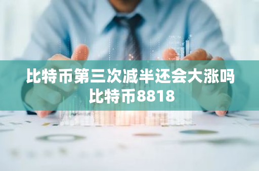 比特币第三次减半还会大涨吗 比特币8818