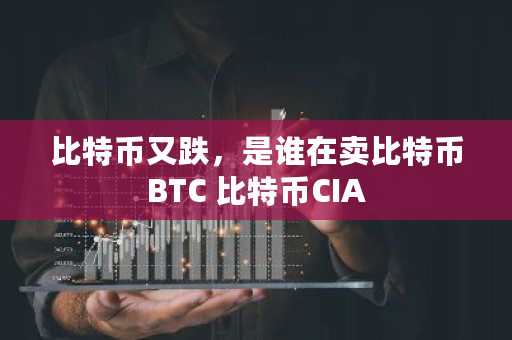 比特币又跌，是谁在卖比特币BTC 比特币CIA