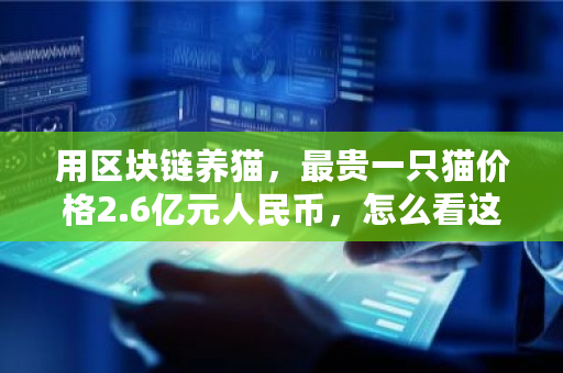 用区块链养猫，最贵一只猫价格2.6亿元人民币，怎么看这件事 ltt币交易所