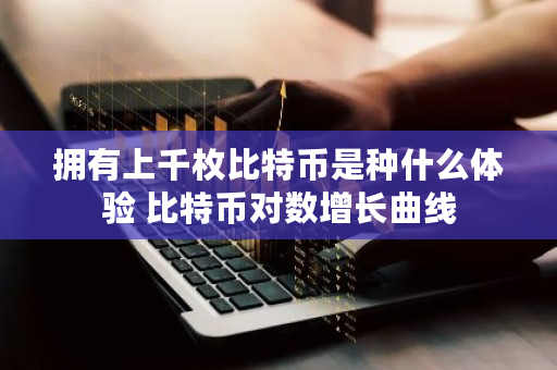 拥有上千枚比特币是种什么体验 比特币对数增长曲线