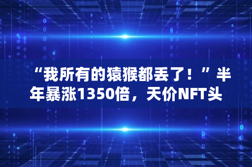 “我所有的猿猴都丢了！”半年暴涨1350倍，天价NFT头像被盗，1000多万元血本无归，发生了什么,nft 比特币