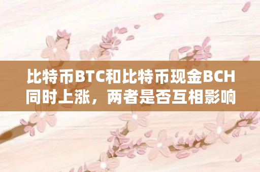 比特币BTC和比特币现金BCH同时上涨，两者是否互相影响（bch暴涨）