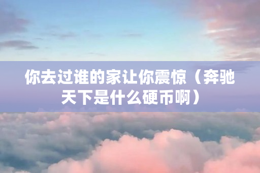 你去过谁的家让你震惊（奔驰天下是什么硬币啊）