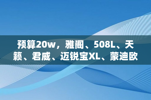 预算20w，雅阁、508L、天籁、君威、迈锐宝XL、蒙迪欧、凯美瑞，买哪一款好呢,使用硼钢最多的车排序是多少