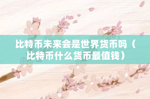 比特币未来会是世界货币吗（比特币什么货币最值钱）