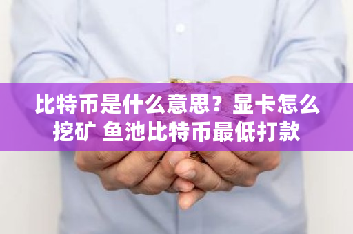 比特币是什么意思?显卡怎么挖矿 鱼池比特币最低打款 比特币是什么意思?显卡怎么挖矿 鱼池比特币最低打款