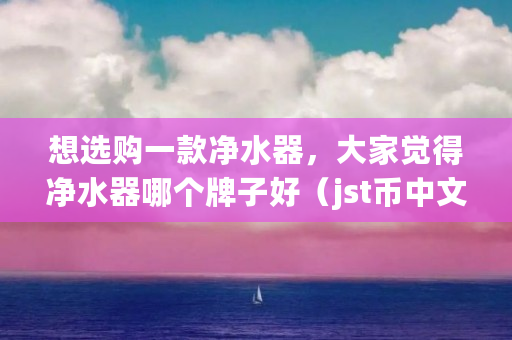 想选购一款净水器，大家觉得净水器哪个牌子好（jst币中文名）