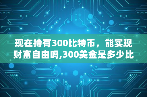 现在持有300比特币，能实现财富自由吗,300美金是多少比特币啊