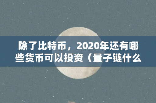 除了比特币，2020年还有哪些货币可以投资（量子链什么时候众筹的）