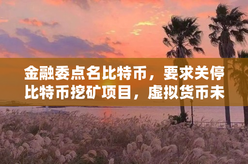 金融委点名比特币，要求关停比特币挖矿项目，虚拟货币未来如何（比特币什么时候关停的）