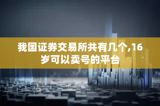我国证券交易所共有几个,16岁可以卖号的平台