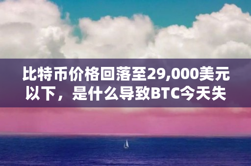 比特币价格回落至29,000美元以下，是什么导致BTC今天失去动力（毕特币今天什么价格啊）