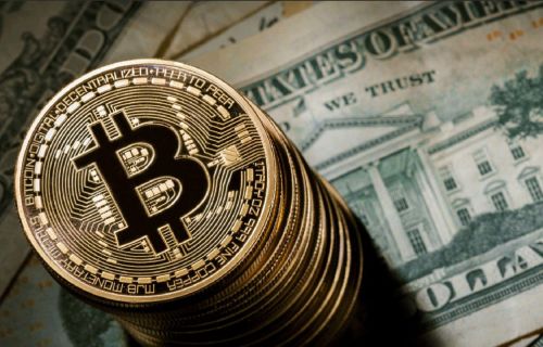 网友09年上大学买了5000个比特币