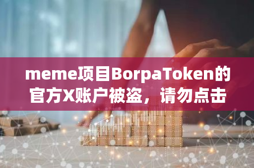 meme项目BorpaToken的官方X账户被盗，请勿点击任何链接