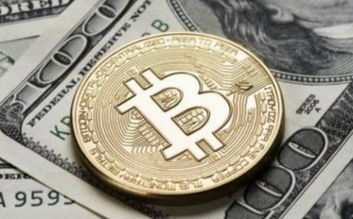 派币价格最新消息（派币今日价格行情走势）