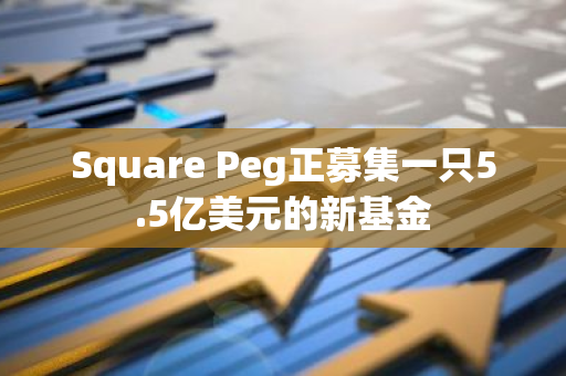 Square Peg正募集一只5.5亿美元的新基金
