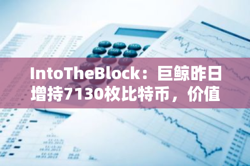 IntoTheBlock：巨鲸昨日增持7130枚比特币，价值约4.36亿美元