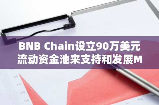 BNB Chain设立90万美元流动资金池来支持和发展Meme币生态系统