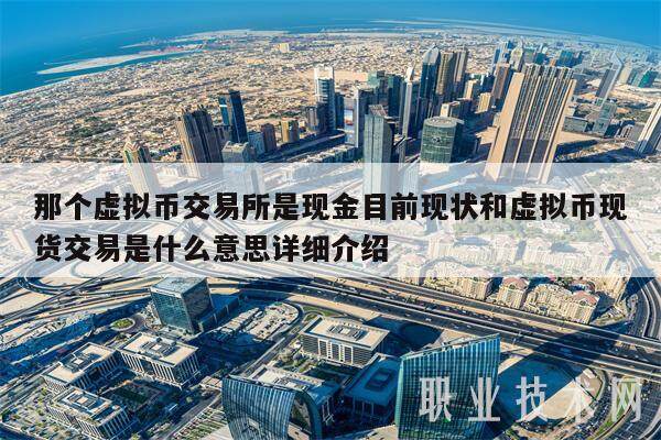那个虚拟币交易所是现金目前现状和虚拟币现货交易是什么意思详细介绍-第1张图片-欧意下载