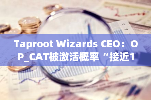 Taproot Wizards CEO：OP_CAT被激活概率“接近100%”