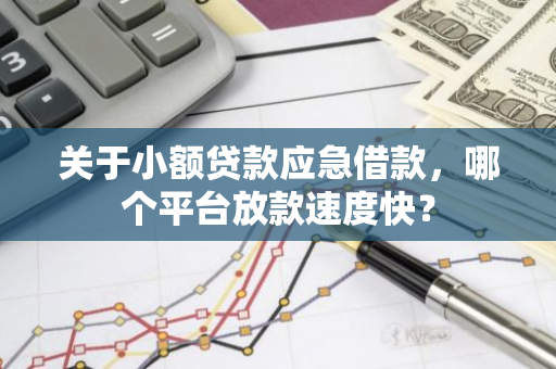 关于小额贷款应急借款，哪个平台放款速度快？