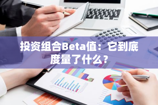 投资组合Beta值：它到底度量了什么？