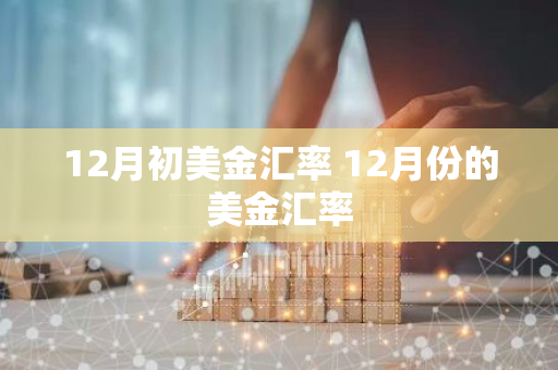 12月初美金汇率 12月份的美金汇率