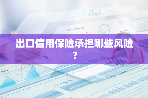 出口信用保险承担哪些风险？