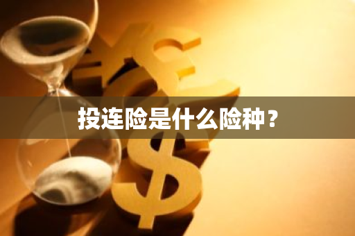 投连险是什么险种？