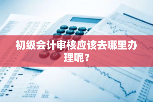 初级会计审核应该去哪里办理呢？