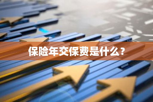 保险年交保费是什么？