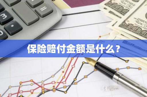 保险赔付金额是什么？