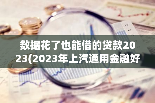 数据花了也能借的贷款2023(2023年上汽通用金融好下款么)