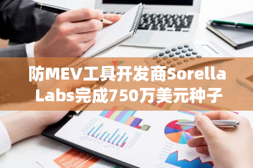 防MEV工具开发商Sorella Labs完成750万美元种子轮融资，Paradigm领投、Uniswap Ventures参投