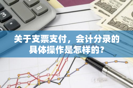 关于支票支付，会计分录的具体操作是怎样的？