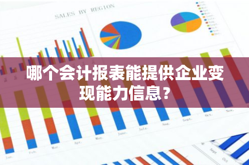 哪个会计报表能提供企业变现能力信息？