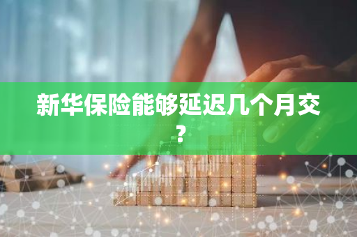 新华保险能够延迟几个月交？