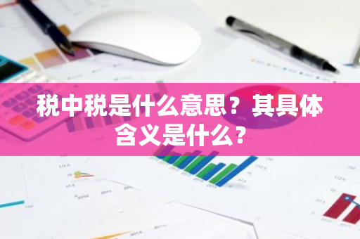 税中税是什么意思？其具体含义是什么？