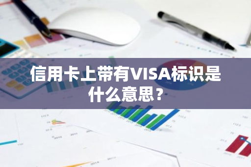 信用卡上带有VISA标识是什么意思？