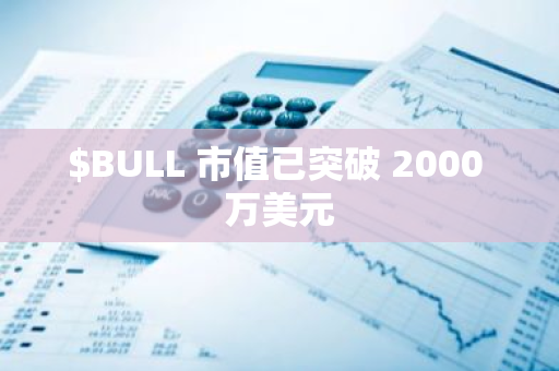 $BULL 市值已突破 2000 万美元