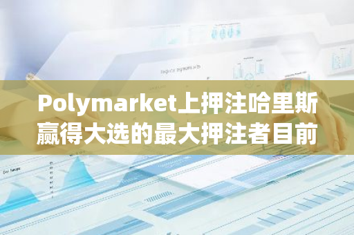 Polymarket上押注哈里斯赢得大选的最大押注者目前者浮盈37.4万美元