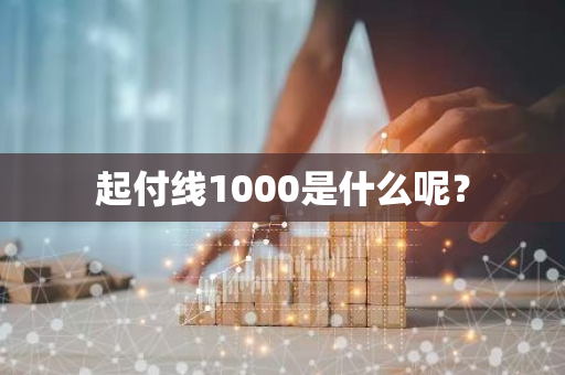 起付线1000是什么呢？