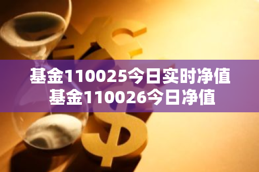 基金110025今日实时净值 基金110026今日净值