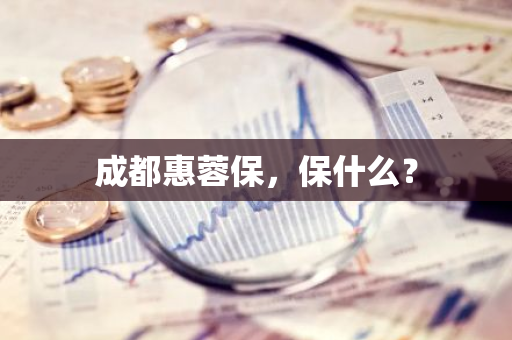 成都惠蓉保，保什么？