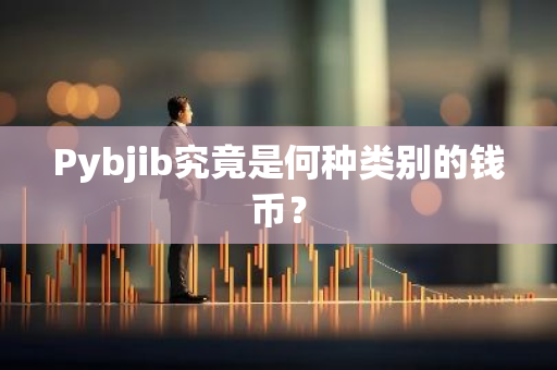 Pybjib究竟是何种类别的钱币？