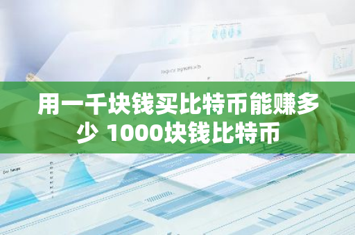 用一千块钱买比特币能赚多少 1000块钱比特币